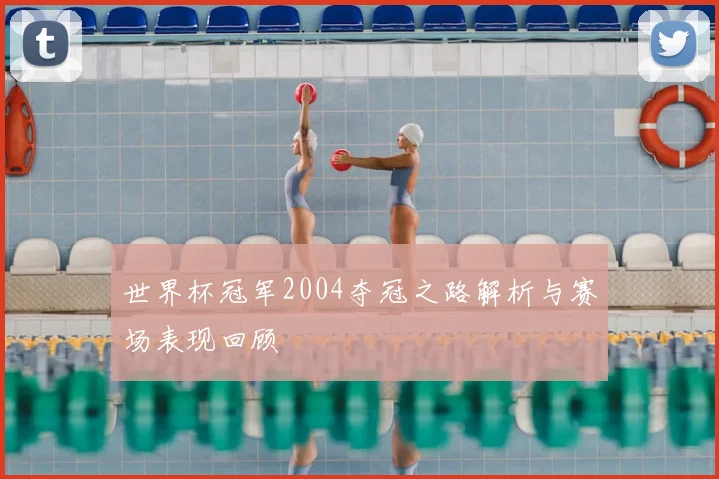 世界杯冠军2004夺冠之路解析与赛场表现回顾