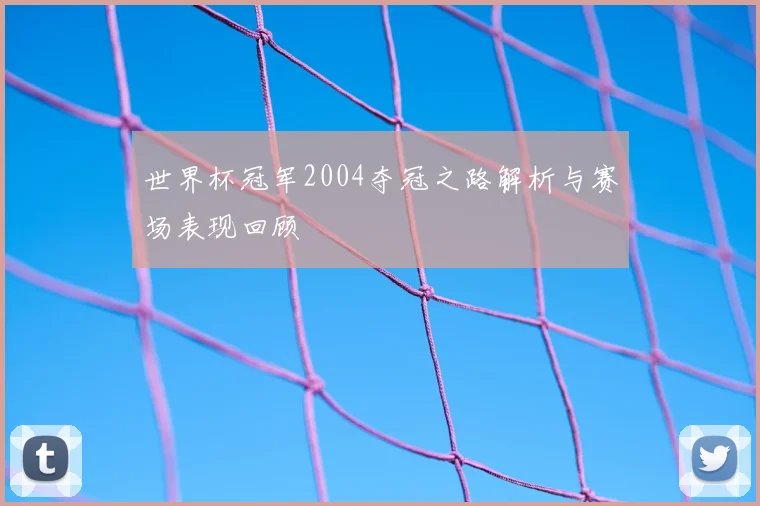 世界杯冠军2004夺冠之路解析与赛场表现回顾