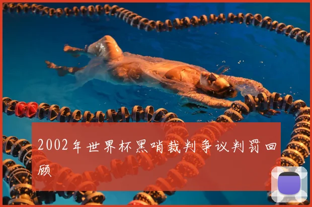 2002年世界杯黑哨裁判争议判罚回顾