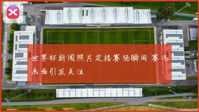 世界杯新闻照片定格赛场瞬间 赛况画面引发关注